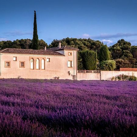 Le Mas Des Sorcieres - Maison D'Hotes Вальреас Екстер'єр фото